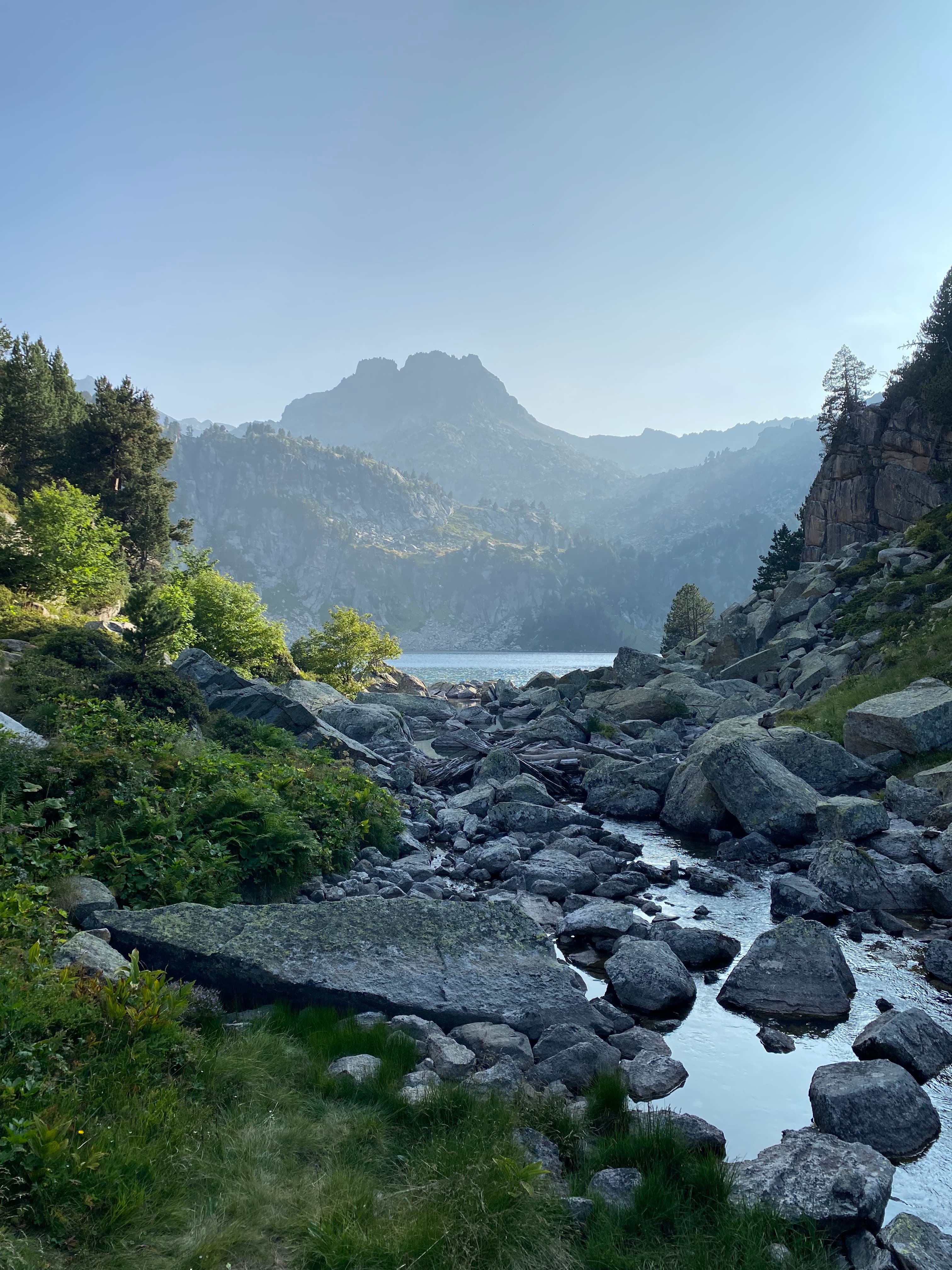 Activitats a la natura