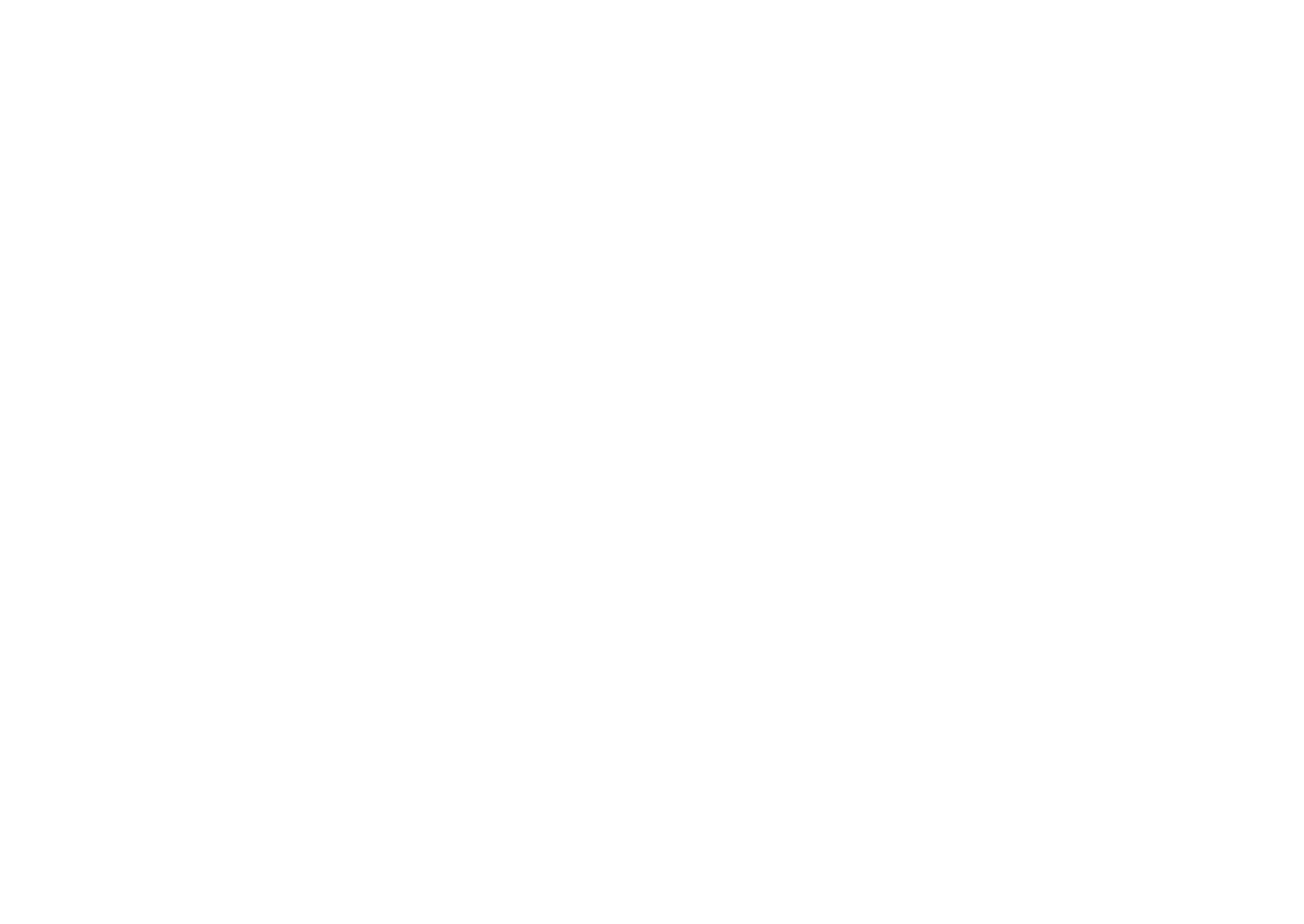 Logo Pirineu a Peu