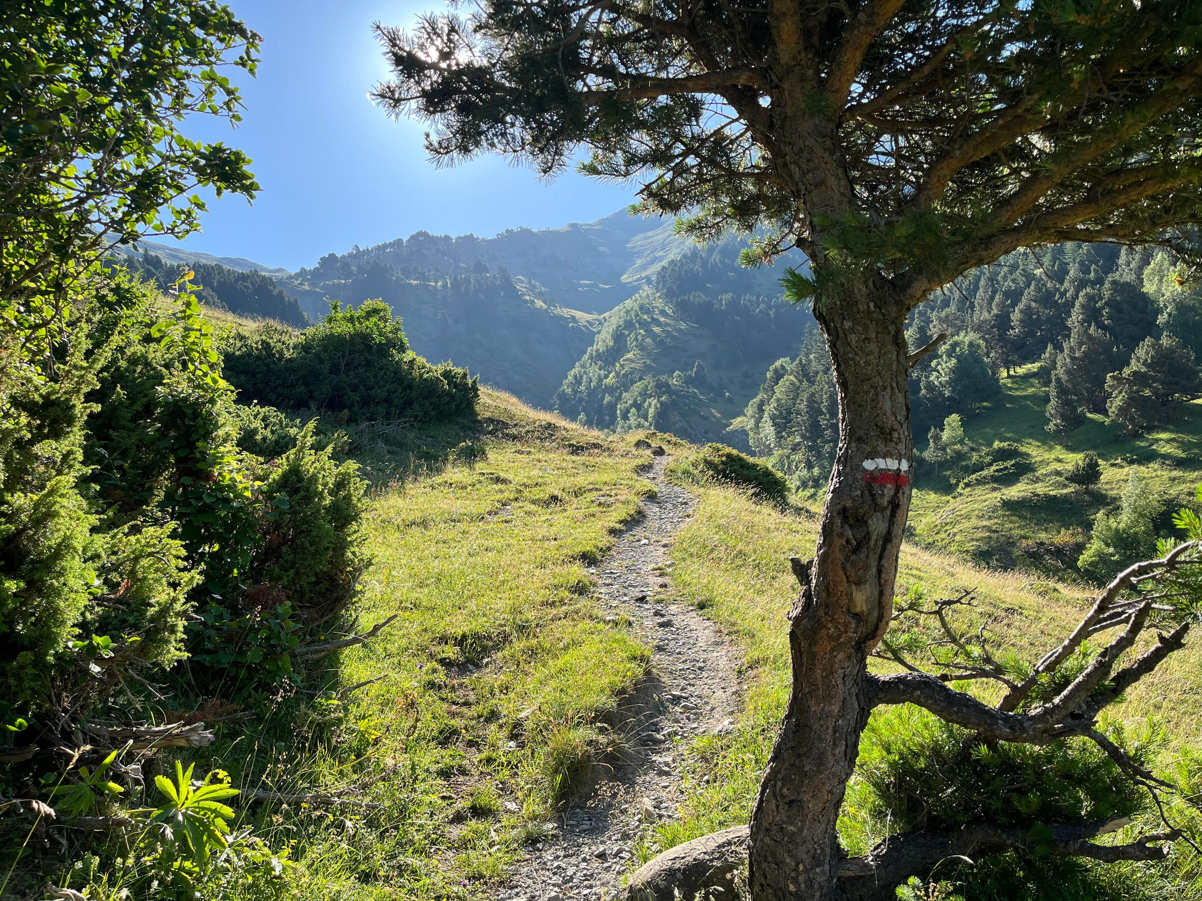 Excursió de dia