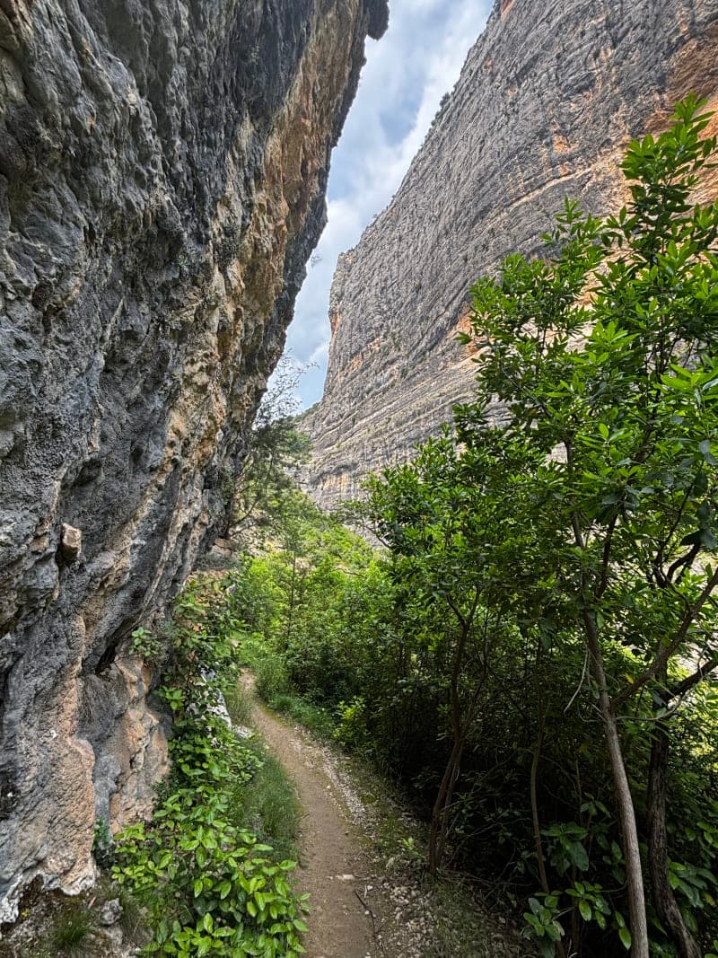 Roca Regina desde Cellers