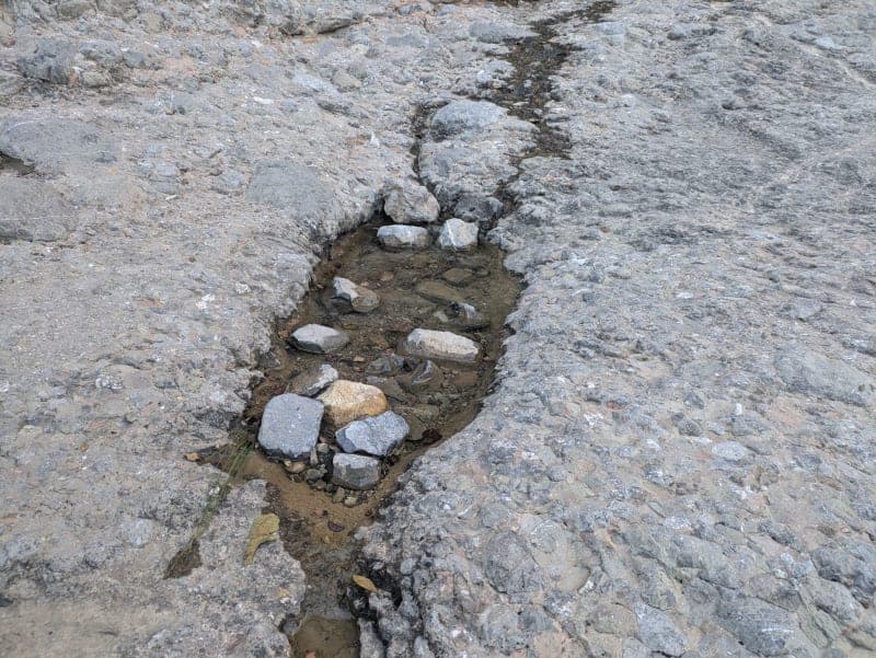 Podem beure aigua d’una font o un riu de muntanya?